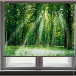 ROLETE PERSONALIZATE 1 JPG