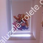 rpleta personalizata 10